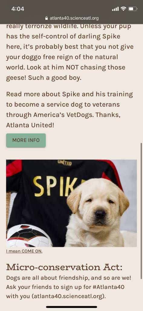 Atlanta United - Spike the Service dog